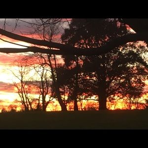 Meet your Posher, Jane